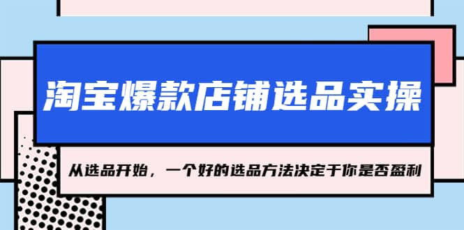 淘宝爆款店铺选品实操,2023从选品开始,一个好的选品方法决定于你是否盈利网创吧-网创项目资源站-副业项目-创业项目-搞钱项目网创吧