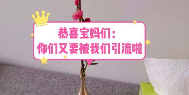恭喜宝妈们:你们又要被我们引流了(教程+222g资料)网创吧-网创项目资源站-副业项目-创业项目-搞钱项目网创吧