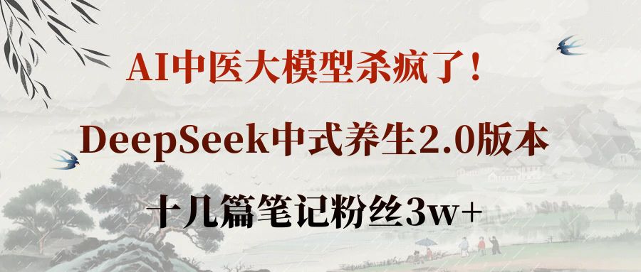 AI中医大模型杀疯了!DeepSeek中式养生2.0版本,十几篇笔记粉丝3w+网创吧-网创项目资源站-副业项目-创业项目-搞钱项目网创吧