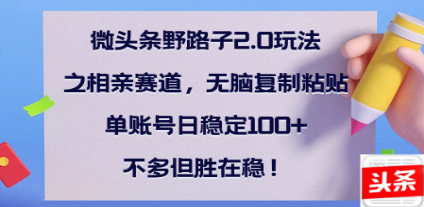 全网首发微头条野路子2.0玩法之相亲赛道,无脑搬砖复制粘贴,单账号日稳定300+保姆级教程网创吧-网创项目资源站-副业项目-创业项目-搞钱项目网创吧