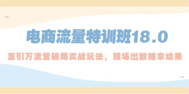 电商流量特训班18.0,直引万流量破局实操玩法,现场出数据拿结果网创吧-网创项目资源站-副业项目-创业项目-搞钱项目网创吧