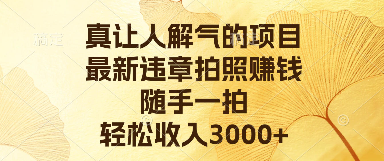 真让人解气的项目,最新违章拍照赚钱,随手一拍,轻松收入3000+网创吧-网创项目资源站-副业项目-创业项目-搞钱项目网创吧