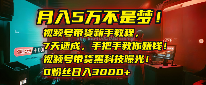 月入5万不是梦!视频号带货新手教程,7天速成,手把手教你赚钱!视频号带货黑科技曝光!0粉丝日入3000+网创吧-网创项目资源站-副业项目-创业项目-搞钱项目网创吧