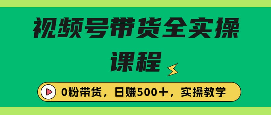 收费1980的视频号带货保姆级全实操教程,0粉带货网创吧-网创项目资源站-副业项目-创业项目-搞钱项目网创吧