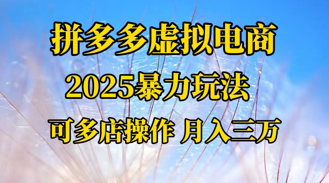 拼多多虚拟电商,不囤货不垫资的虚拟电商网创吧-网创项目资源站-副业项目-创业项目-搞钱项目网创吧