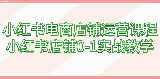小红书电商店铺运营课程,小红书店铺0-1实战教学(60节课)网创吧-网创项目资源站-副业项目-创业项目-搞钱项目网创吧