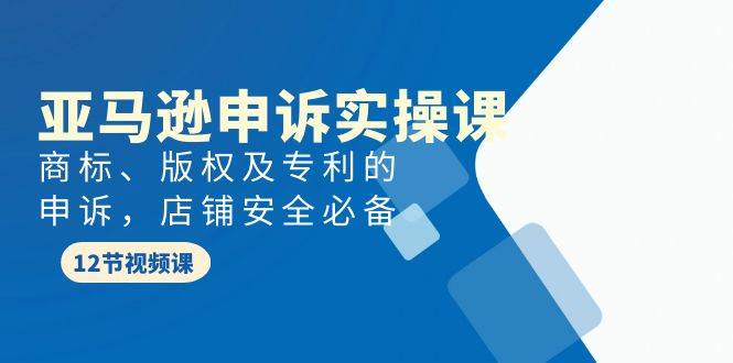 亚马逊-申诉实战课,商标、版权及专利的申诉,店铺安全必备网创吧-网创项目资源站-副业项目-创业项目-搞钱项目网创吧