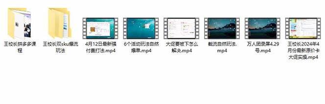拼多多·实战课：万人团玩法/截流自然流/最新强付费打法/最新原价卡大促..网创吧-网创项目资源站-副业项目-创业项目-搞钱项目网创吧