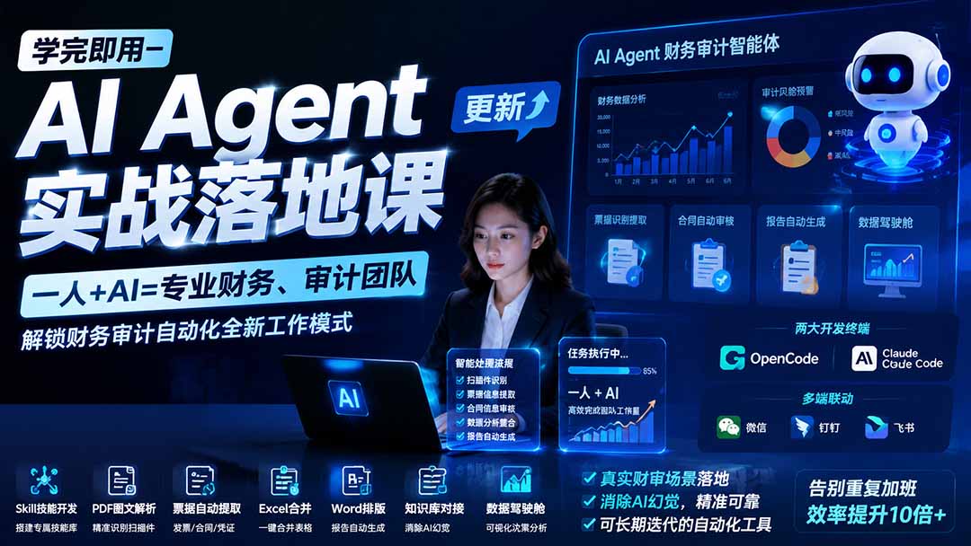 （19740期）学完即用—AI Agent实战落地课-更新：一人+AI=专业财务、审计团队，解锁财务审计自动化全新工作模式网创吧-网创项目资源站-副业项目-创业项目-搞钱项目网创吧