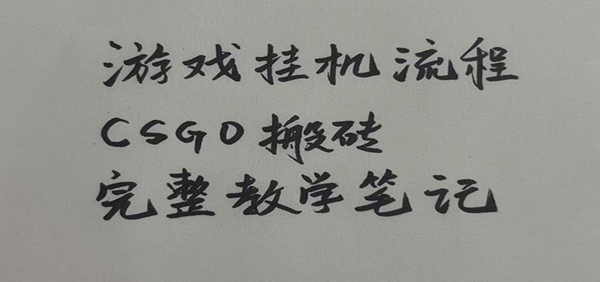 游戏挂机全流程笔记分享,CSGO游戏搬砖,小白看了当天学会见收益网创吧-网创项目资源站-副业项目-创业项目-搞钱项目网创吧